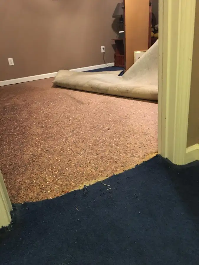 Carpet pad removal revealing water damage during Water Mitigation Services in Town and Country