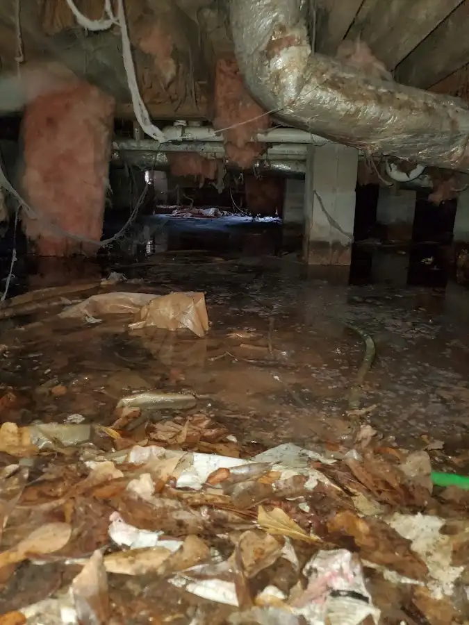 Crawl space flood assessment for Commercial Water Damage Restoration in Town and Country