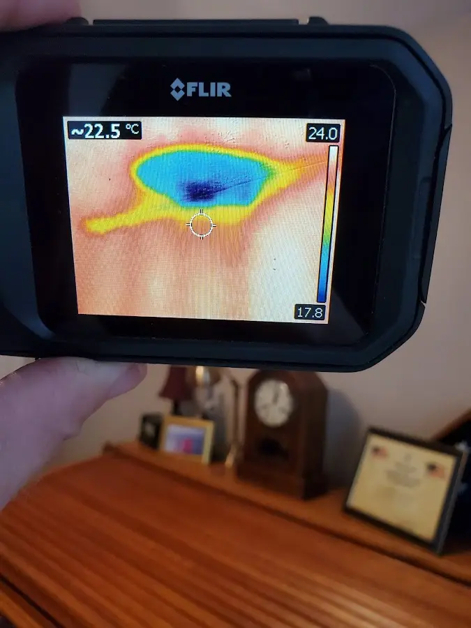 Thermal imaging inspection for water damage in Town and Country