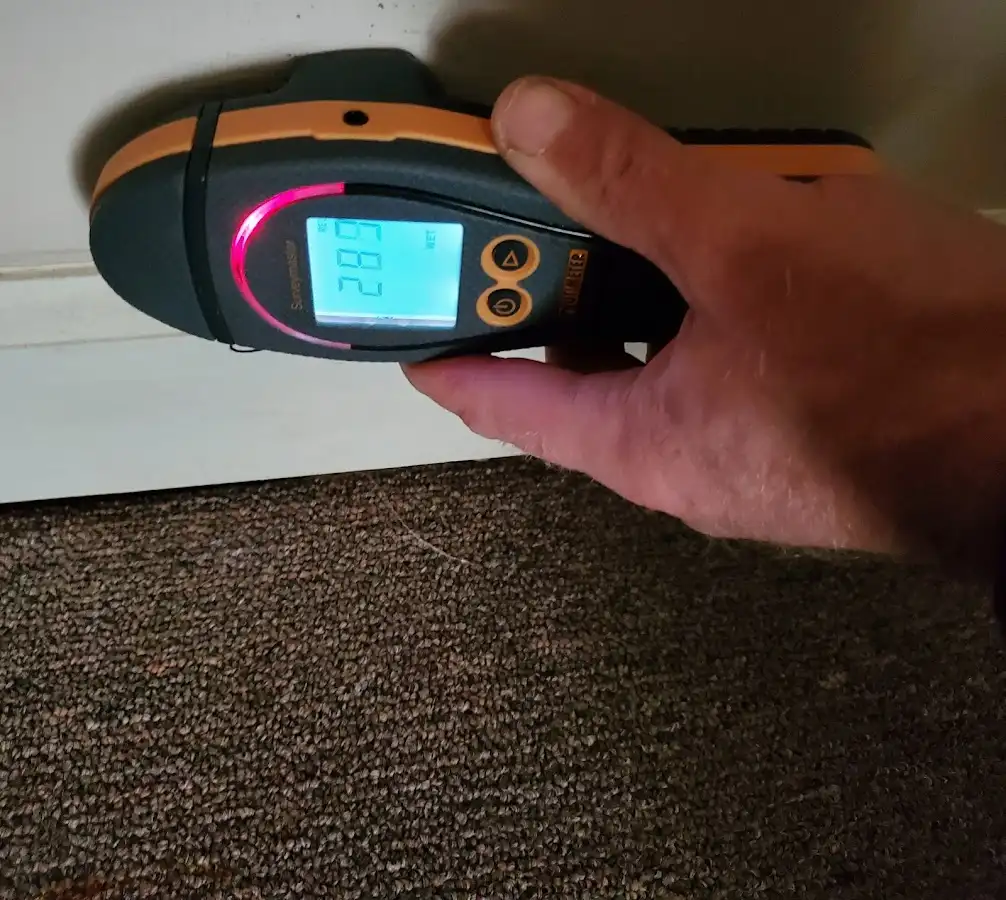 Moisture detection at baseboard during Sewage Cleanup & Sanitation in Town and Country